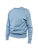 Классический «Свитшотус»