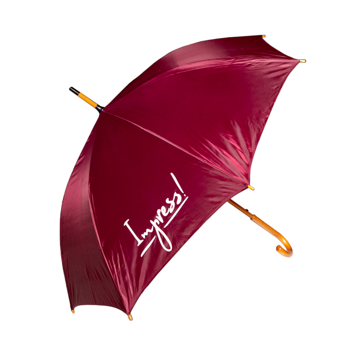 Зонт с надписью «Импресс» 