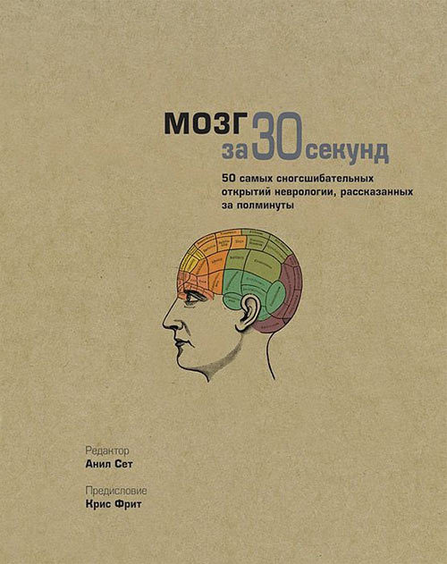 Мозг за 30 секунд