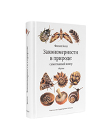 Закономерности в природе: самотканый ковер. Формы 